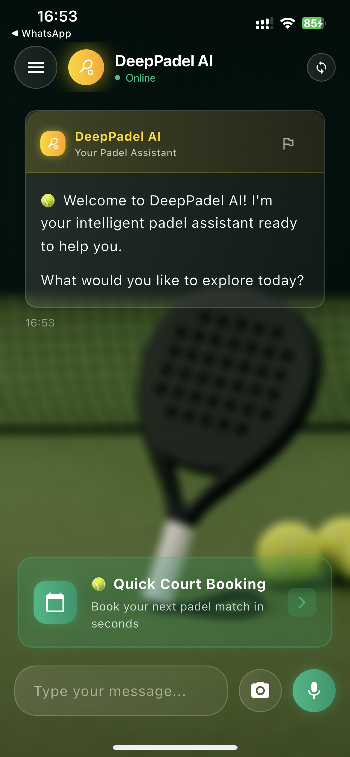 DeepPadel Chat Interface